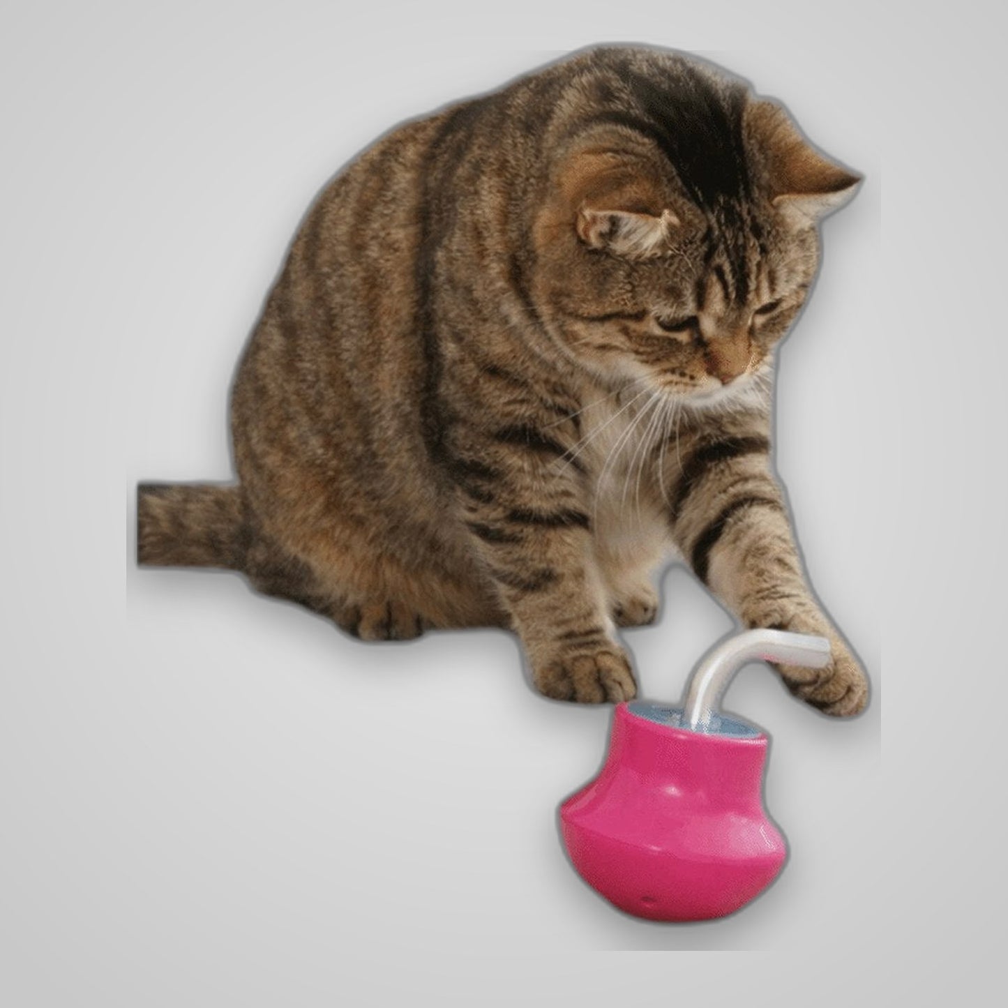 TechTopia Automatic Laser Cat Toy — USB Rechargeable, 5 Modes